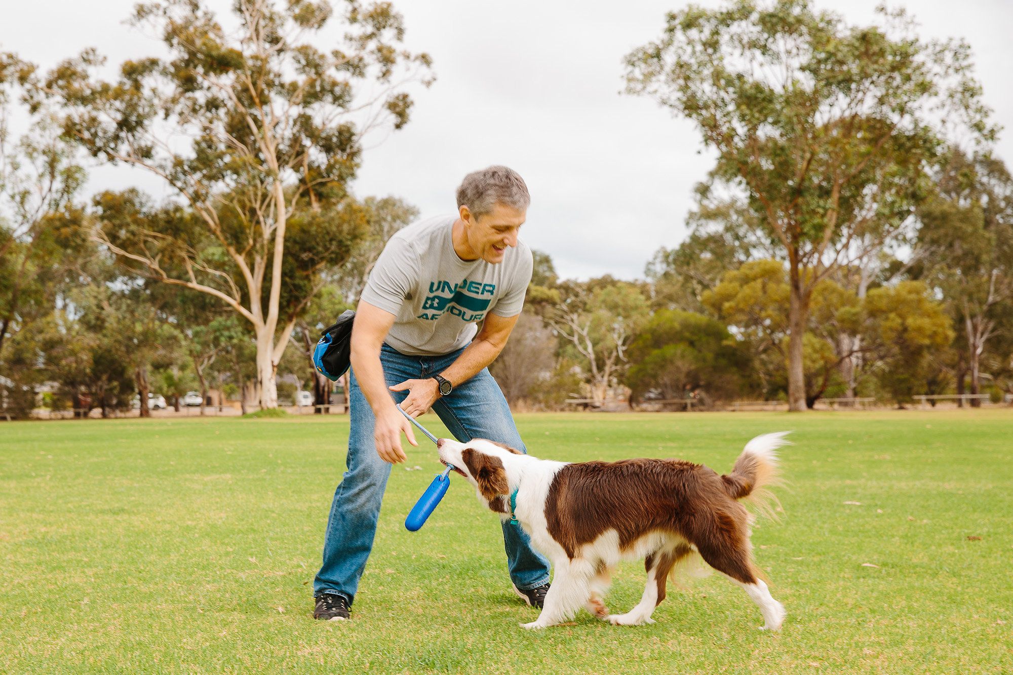 Man playing tugging game with his border collie