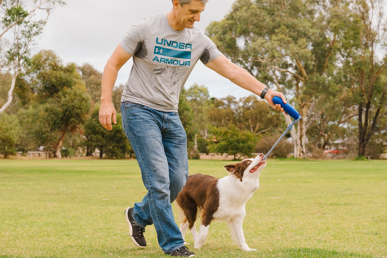 Training Border Collies and the Art of Dog Psychology